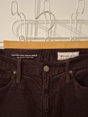 Agolde (Anthropologie) Chocolate Brown Velvet High-rise Stevie Jeans (Size 27)